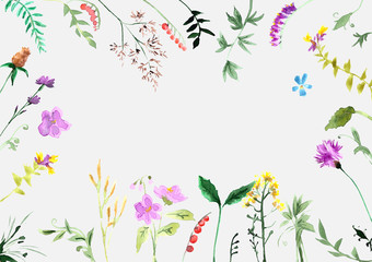A large set of plant elements - grass, leaves, berries, flowers.
