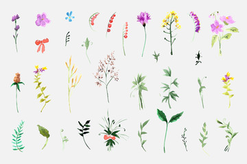 A large set of plant elements - grass, leaves, berries, flowers.