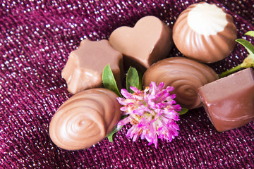 Obraz na płótnie Canvas Assortment of chocolate bonbons on purple background
