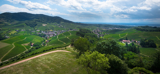 Blick auf Durbach in der Ortenau