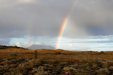 Fototapeta na wymiar Rainbow and Field