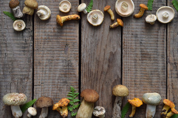 Edible wild mushrooms border, boletus, russule, chanterelles on the wooden background.