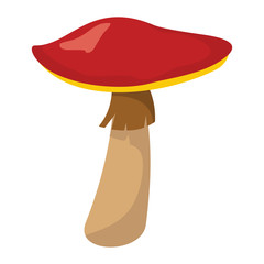 Mushroom with red hat on white background element for mushroom design and web