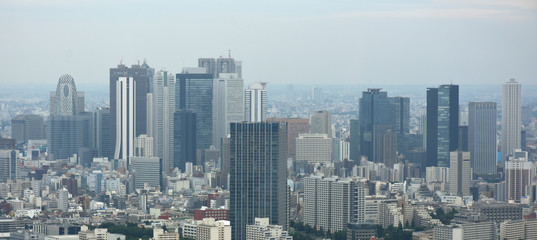 日本の東京都市景観(新宿の高層ビル群などを望む）