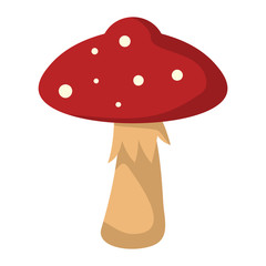 Mushroom Amanita with red hat on white background element for mushroom design and web