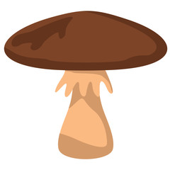 Mushroom with brown hat on white background element for mushroom design and web
