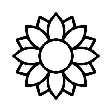 Helianthus or sunflower blossom line art vector icon for flower apps and websites