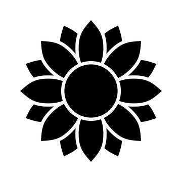Helianthus or sunflower blossom flat vector icon for flower apps and websites