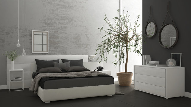 Modern bedroom with window, chest of drawer and big olive tree, concrete wall, minimalist interior design