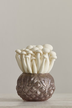 Enoki mushrooms in a vase