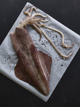 Fresh squid from the market