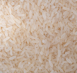 Uncooked organic brown rice