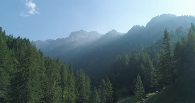 moving up to  pine woods forest and mountain valley with sun flare in summer day.Europe Italy Alps outdoor green nature scape mountains wild aerial establisher.4k drone flight establishing shot