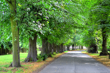Wollaton park Nottingham Nottingham, UK, England..