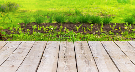 Mockup of blurred spring garden background with green trees and wooden board.