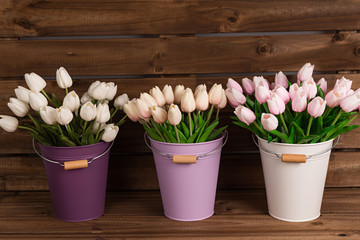 Tulipanes blancos y rosas en cubos de colores.