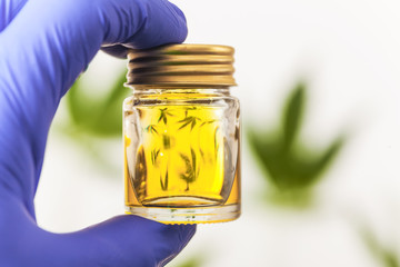 Hemp oil in the doctor's hand