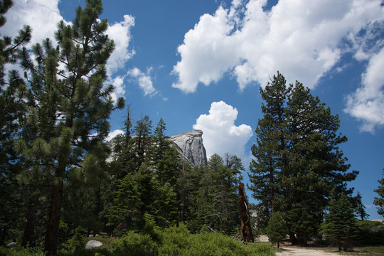 Half Dome From The Trail To The Cables. Yosemite National Park.