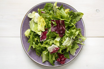 fresh mixed lettuce leaves on plate on white background