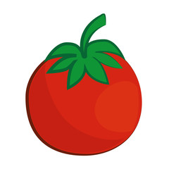 tomato vegetable  icon over white background colorful design vector illustration