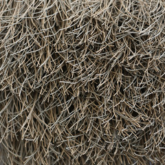 Wire Brush Macro Texture.