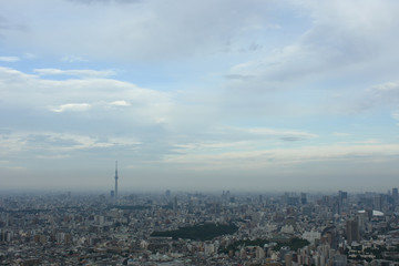 Fototapeta premium 日本の東京都市景観（墨田区や文京区などを望む）