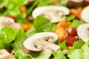 Grüner Blattsalat mit Champignon Pilze, Karotten und Paprika
