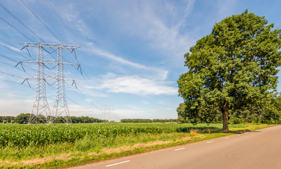 Fototapeta na wymiar Electricity pylons and cables in an agricultural landscape with silage maize cultivation