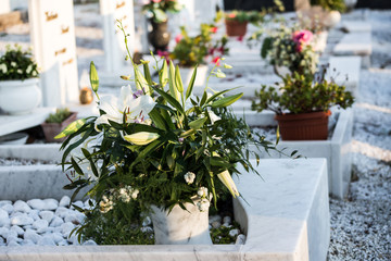 Friedhof der weißen Steine