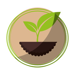 seal stamp with plant icon over white background colorful design vector illustration