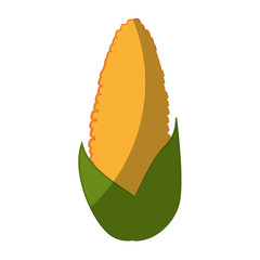 corn vegetable icon over white background vector illustration