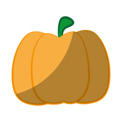 pumpkin vegetable icon over white background vector illustration