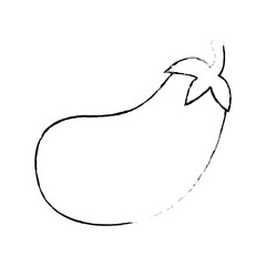 eggplant vegetable icon over white background vector illustration