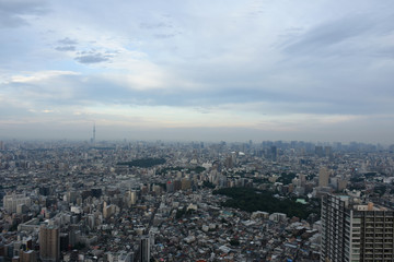 日本の東京都市景観・空と雲「千代田区、文京区、墨田区などを望む」