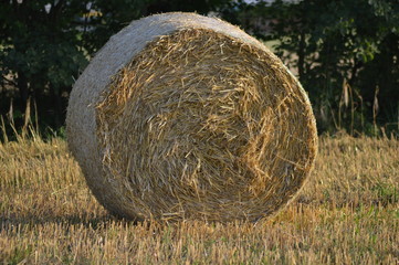 Heuballen