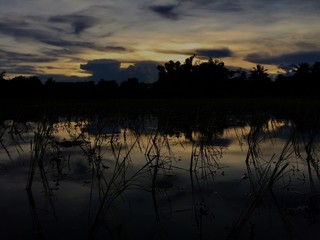 Вечернее отражение деревьев с воде на закате © dozhigin