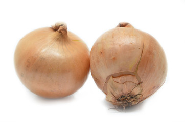 Two onion bulbs