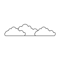 bushes icon over white background vector illustration