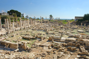 Fototapeta na wymiar Remains of ancient columns at Al Mina excavation site in Tyre, Lebanon 