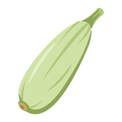 Squash green icon in cartoon flat style isolated object vegetable organic eco bio product from the farm vector illustration. Squash object for vegetarian design