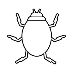 bug vector illustration