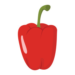Paprika icon in cartoon flat style isolated object vegetable organic eco bio product from the farm vector illustration. Paprika object for vegetarian