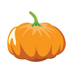 Pumpkin icon in cartoon flat style isolated object vegetable organic eco bio product from the farm vector illustration. Pumpkin object for vegetarian design