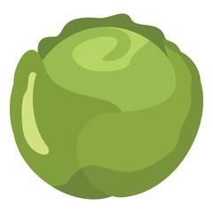 Cabbage icon in cartoon flat style isolated object vegetable organic eco bio product from the farm vector illustration. Cabbage object for vegetarian design