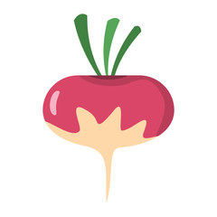 Radish icon in cartoon flat style isolated object vegetable organic eco bio product from the farm vector illustration. Radish object for vegetarian design
