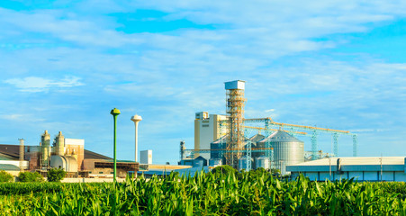 Agricultural Silos - Building Exterior, Storage and drying of grains, against the blue sky with rice fields. © patboon