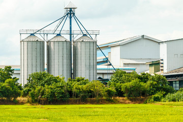 Agricultural Silos - Building Exterior, Storage and drying of grains, against the blue sky with rice fields.