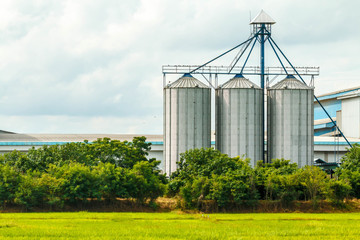 Agricultural Silos - Building Exterior, Storage and drying of grains, against the blue sky with rice fields.