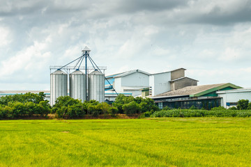 Agricultural Silos - Building Exterior, Storage and drying of grains, against the blue sky with...