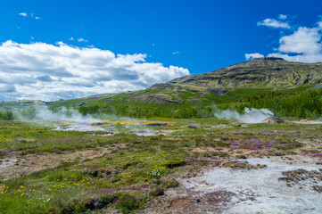 Fototapeta na wymiar Geothermal landscape Iceland